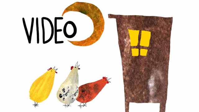 VIDEO: Hühner